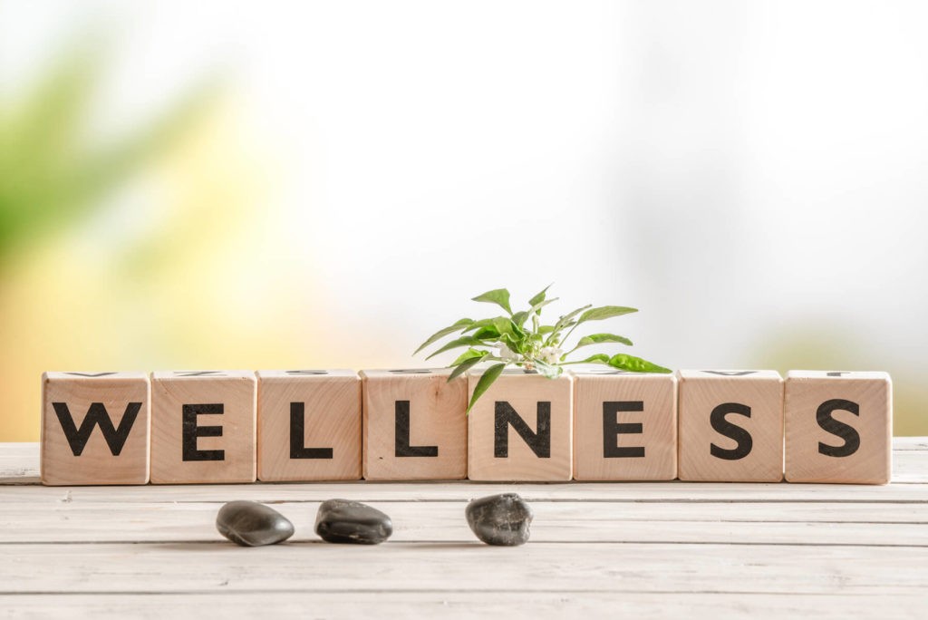 ‘Wellness’ spelled on wooden blocks surrounded by stones and a plant.